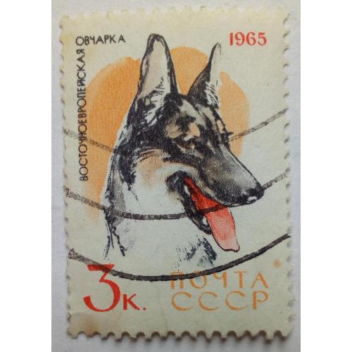 СССР 1965 Служебные и охотничьи собаки, овчарка, гашеная