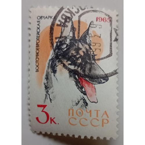 СССР 1965 Восточноевропейская овчарка, гашеная   