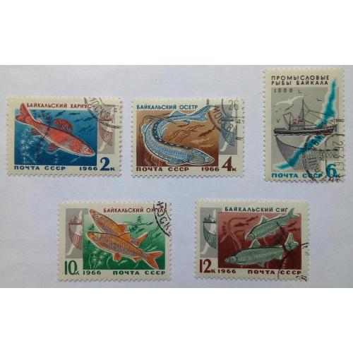 СССР 1966 Промысловые рыбы, гашеные