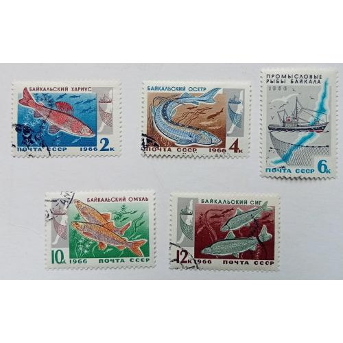 СССР 1966 Рыбы Байкала, гашеные