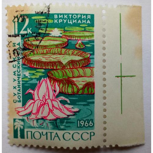 СССР 1966 Сухумский ботанический сад, 12к., гашеная