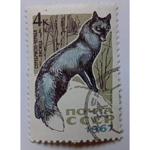 СССР 1967 Чернобурка, лисица, гашеная(I)