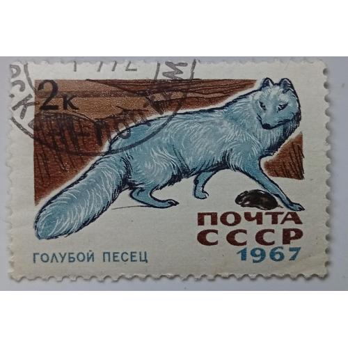 СССР 1967 Голубой песец, гашеная(I)