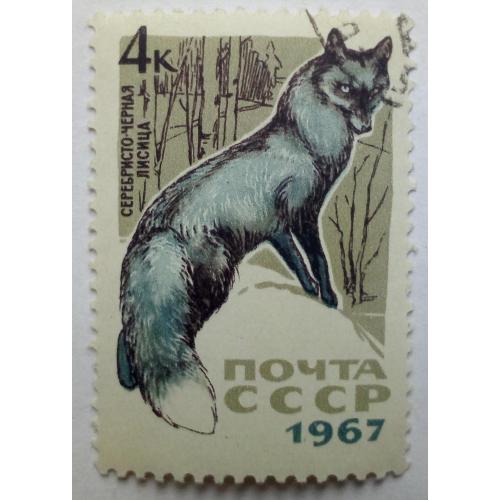 СССР 1967 Животные, фауна, черная лисица, гашеная(I)