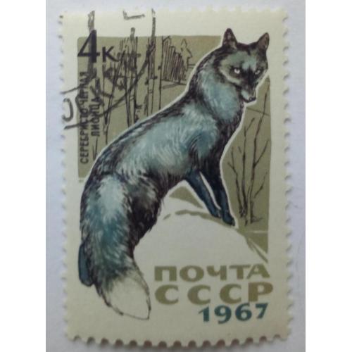 СССР 1967 Животные, фауна, черная лисица, гашеная