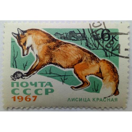 СССР 1967 Животные, фауна, лисица красная, гашеная