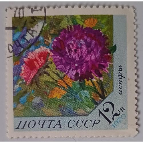 СССР 1970 Цветы, астры, гашеная(I)