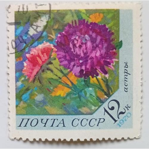 СССР 1970 Цветы, астры, гашеная
