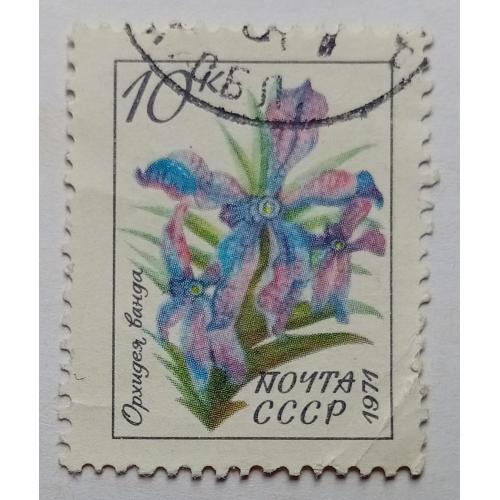 СССР 1971 Орхидея, гашеная