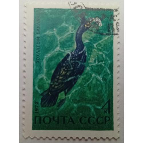 СССР 1972 Хохлатый баклан, гашеная