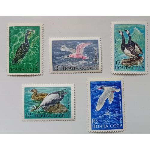 СССР 1972 Морские птицы, фауна, MNH(I)