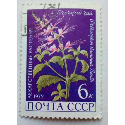 СССР 1972 Почечный чай, лекарственные растения, гашеная