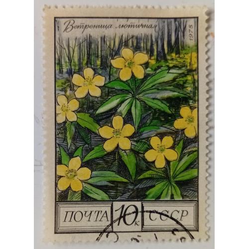 СССР 1975 Цветы Кавказа, Ветреница лютичная, гашеная