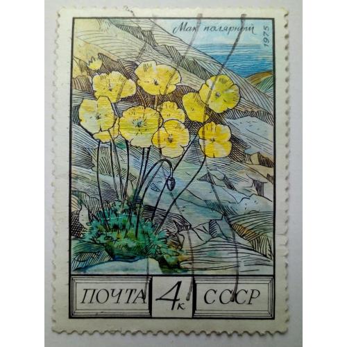 СССР 1975 Цветы, мак полярный, гашеная