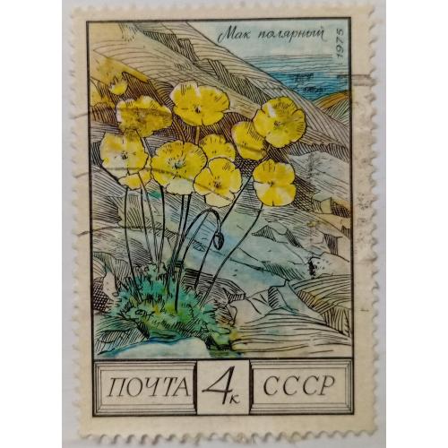 СССР 1975 Мак полярный, гашеная
