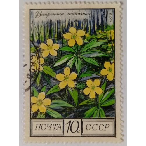 СССР 1975 Ветреница лютичная, гашеная