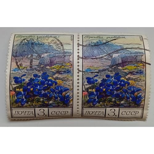 СССР 1976 Горечавка угловатая, цветы, сцепка, гашеная