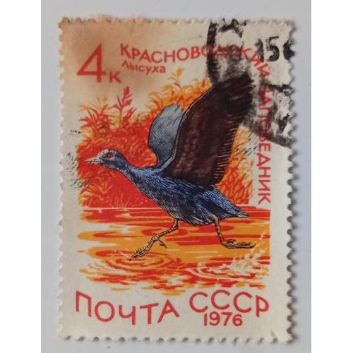 СССР 1976 Водоплавающие птицы, лысуха, гашеная