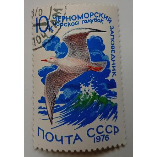 СССР 1976 Водоплавающие птицы, морской голубок, гашеная(I)
