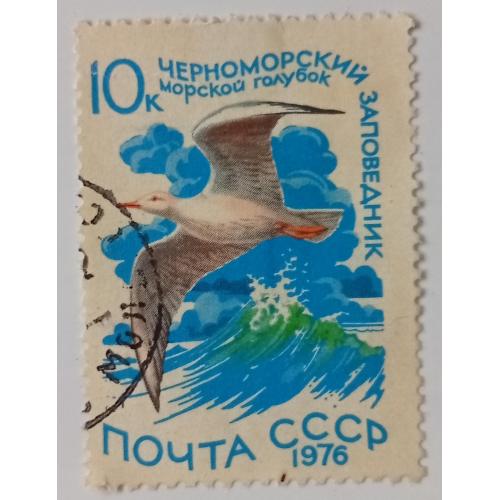 СССР 1976 Водоплавающие птицы, морской голубок, гашеная(II) 