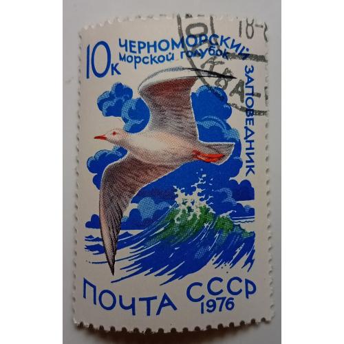 СССР 1976 Водоплавающие птицы, морской голубок, гашеная