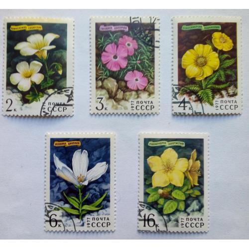 СССР 1977 Цветы, флора, гашеные