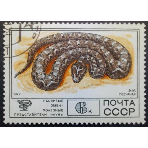 СССР 1977 Фауна, змеи, Эфа песчаная, гашеная