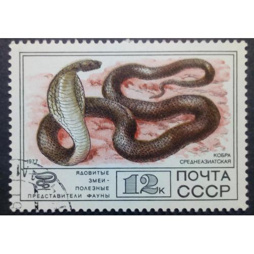 СССР 1977 Фауна, змеи, кобра среднеазиатская, гашеная