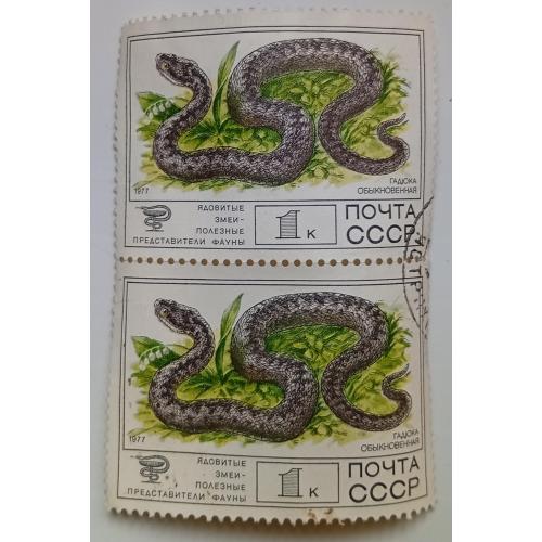 СССР 1977 Гадюка, сцепка, гашеная