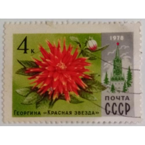 СССР 1978 Георгина Красная звезда, гашеная