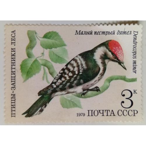 СССР 1979 Малый пестрый дятел, гашеная