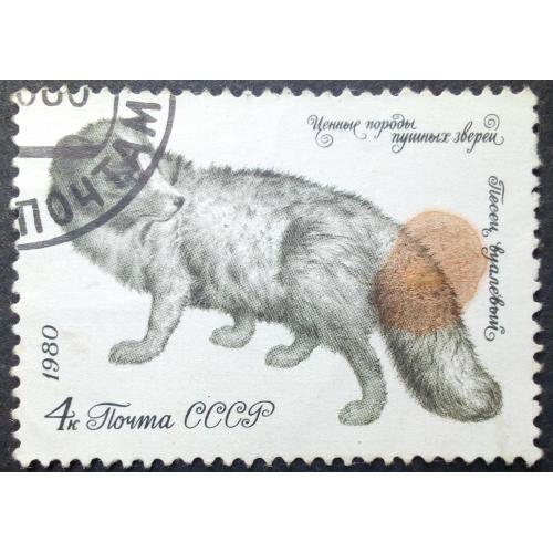 СССР 1980 Фауна, Ценные породы пушных зверей, песец, гашеная