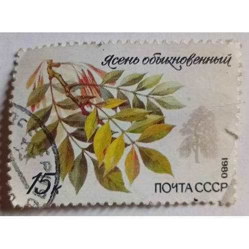 СССР 1980 Ясень обыкновенный, гашеная
