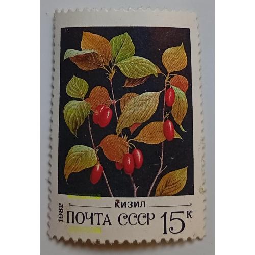 СССР 1982 Кизил, гашеная