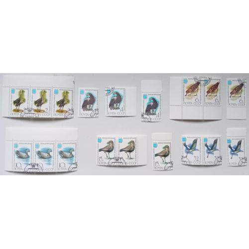 СССР 1982 Птицы, международный орнитологический конгресс, 3 серии, гашеные