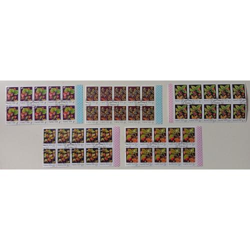 СССР 1982 Ягоды, 10 серий с полями, гашеные