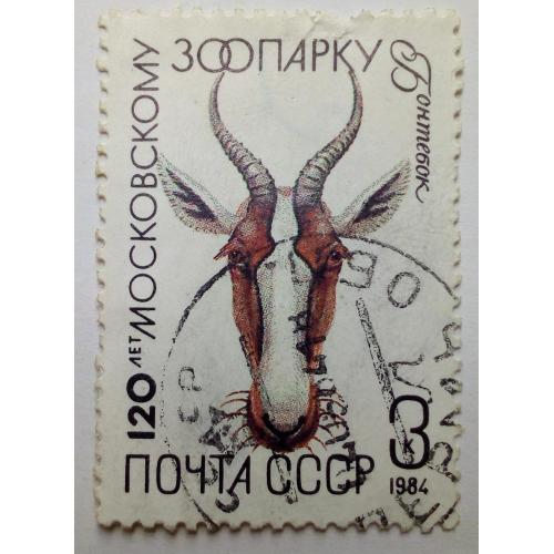 СССР 1984 Московский зоопарк, бонтебок, гашеная