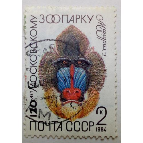 СССР 1984 Московский зоопарк, мандрил, гашеная(I)