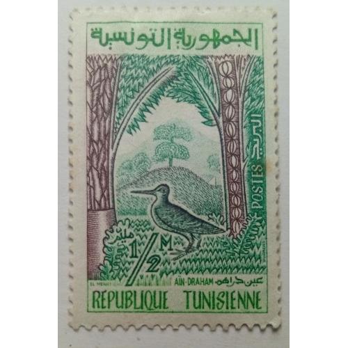 Тунис 1959 Бекас, птица, MH
