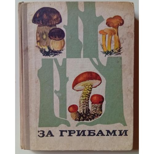 В.Б.Тойбис - За грибами (1974)