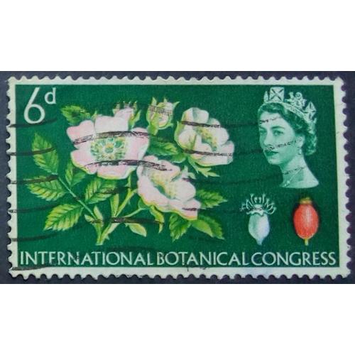 Великобритания 1964 Международный ботанический конгресс, цветы, гашеная