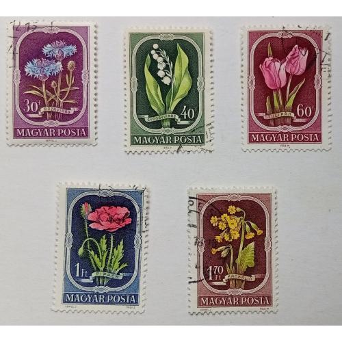 Венгрия 1951 Цветы, гашеные