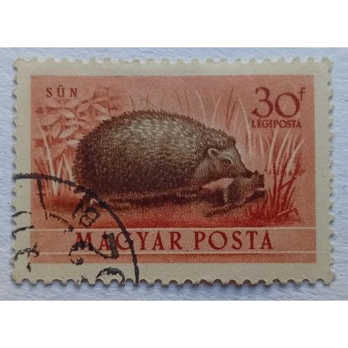 Венгрия 1953 Ежики, гашеная