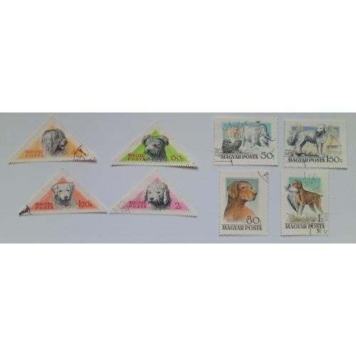 Венгрия 1956 Собаки, гашеные