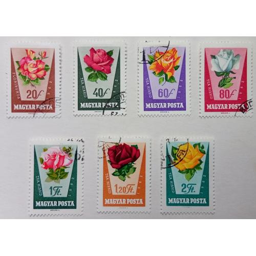 Венгрия 1962 Розы, гашеные
