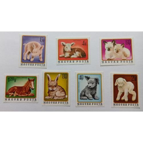 Венгрия 1974 Домашние животные, MNH(II)