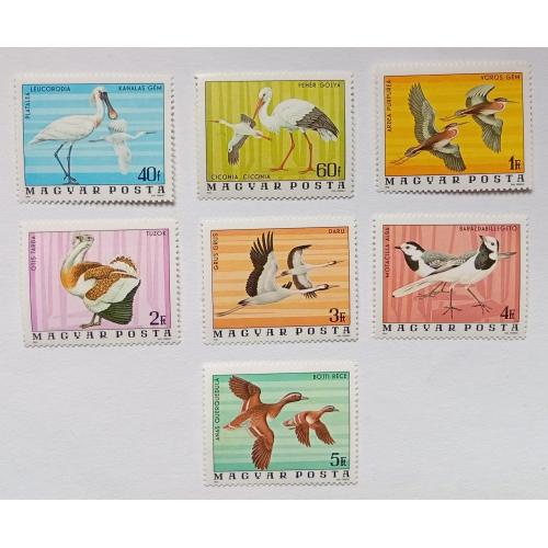 Венгрия 1977 Птицы, фауна, MNH