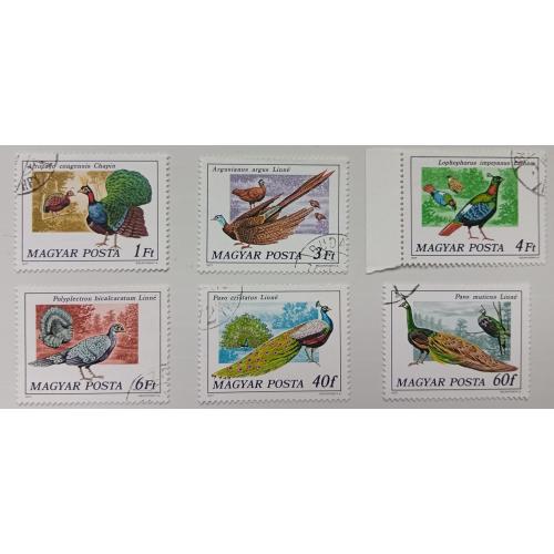 Венгрия 1977 Птицы, фазаны, павлины, гашеные