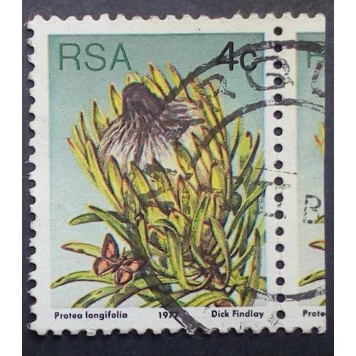 ЮАР 1977 Цветы, флора, гашеная