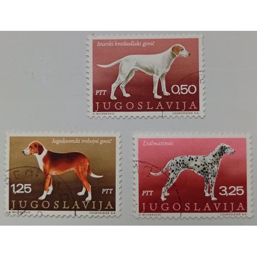 Югославия 1970 Собаки, 3 марки, гашеные